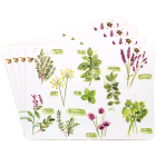 HERB GARDEN PLACEMATS SET 4