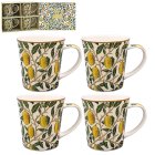 FRUITS MUG SET 4