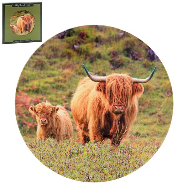 HIGHLAND COW & CALF : Lesser & Pavey