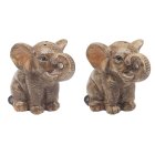 ELEPHANTS SALT & PEPPER SET