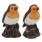 ROBINS SALT & PEPPER SET