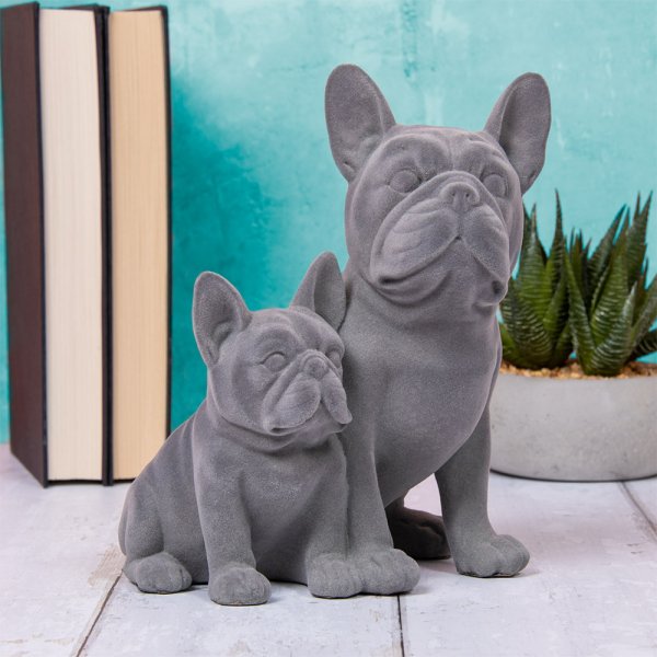 Blue velvet french store bulldog