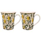 FRUITS MUG SET 2