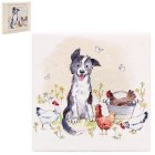 COLLIE & HENS COASTER