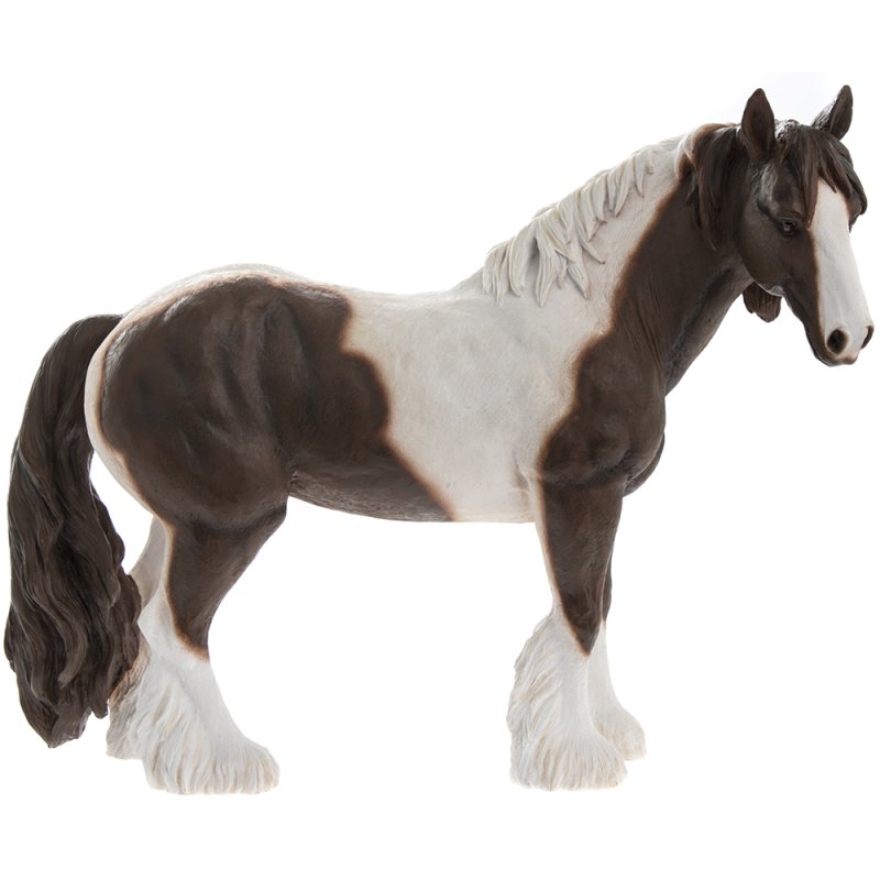 BROWN & WHITE COB : Lesser & Pavey